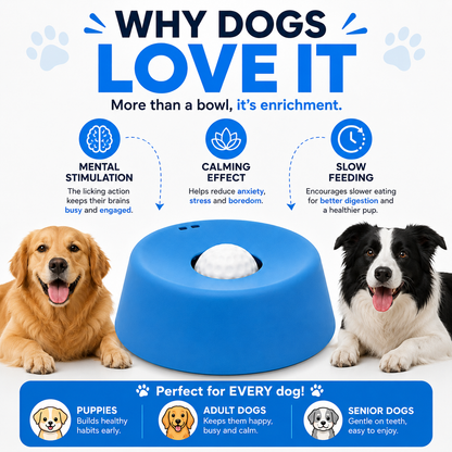 Non-Slip Dog Licking Bowl